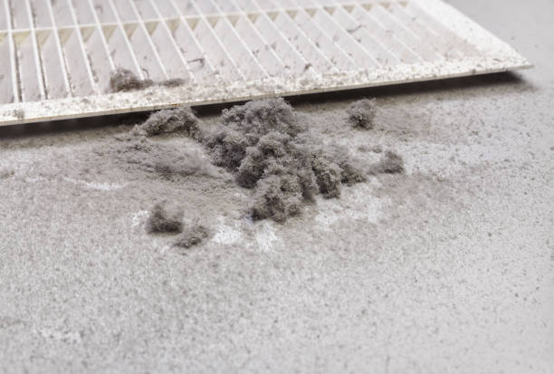 Best Air Duct Cleaning Company Near Me  in Veazie, ME